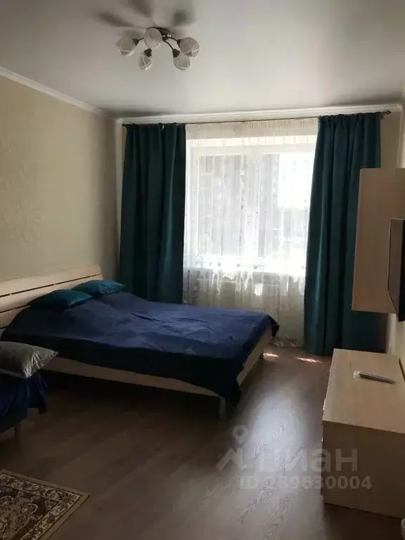 1-к кв. Калининградская область, Зеленоградск ул. Героя России ... - Фото 2