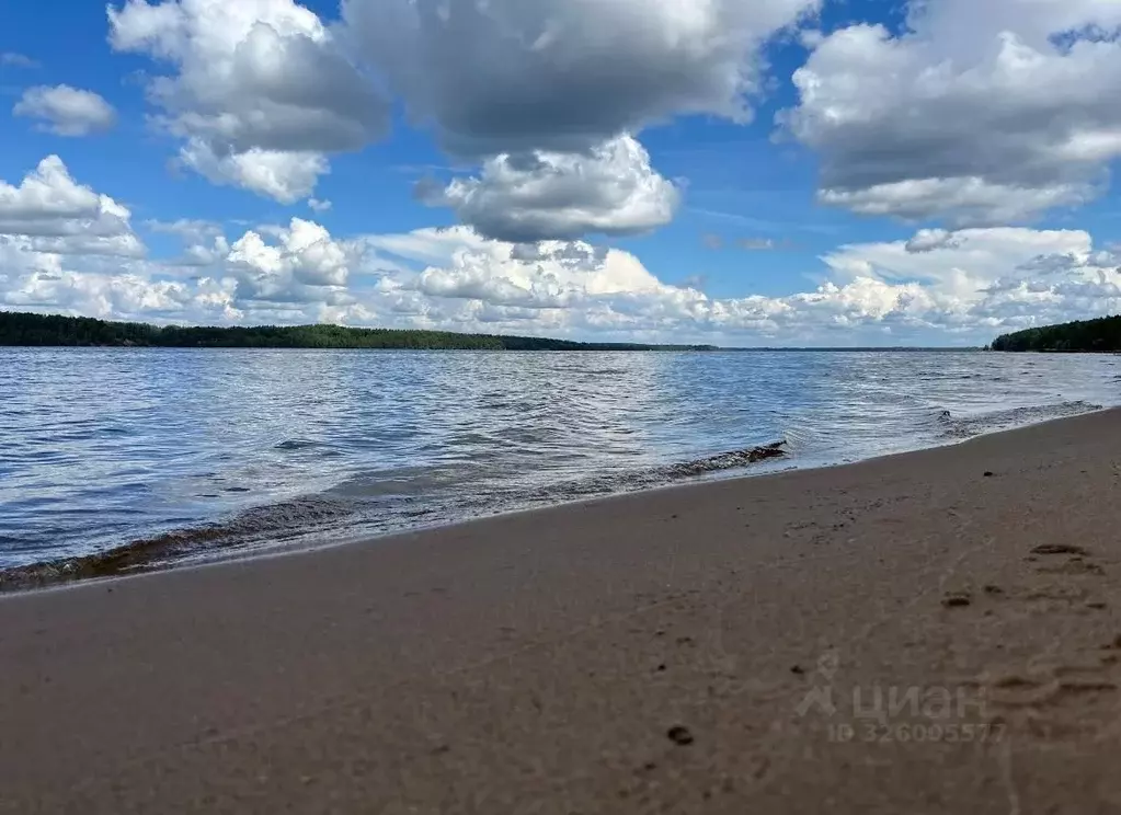 Участок в Тверская область, Калязинский муниципальный округ, д. ... - Фото 2