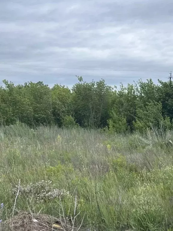 Участок в Самарская область, Ставропольский район, с. Подстепки ул. ... - Фото 2