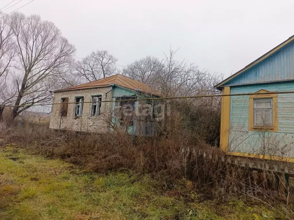 Дом в Белгородская область, Новооскольский муниципальный округ, с. ... - Фото 1