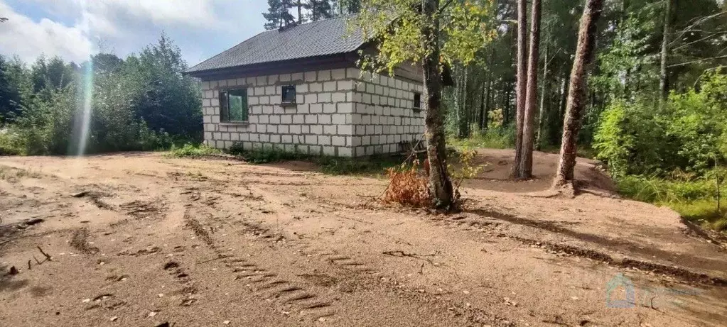 Участок в Ленинградская область, Приозерский район, Ларионовское ... - Фото 1