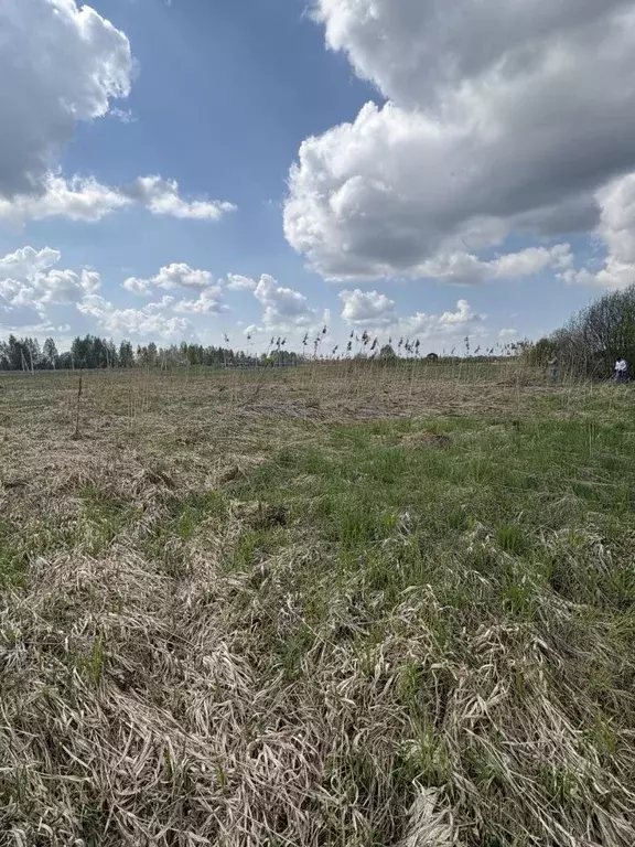 Участок в Костромская область, Кострома ул. Родная (969.0 сот.) - Фото 2