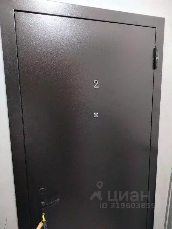 2-к кв. Нижегородская область, Нижний Новгород ул. Даля, 34 (40.0 м) - Фото 1