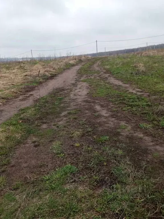 Участок в Нижегородская область, Богородский муниципальный округ, д. ... - Фото 0