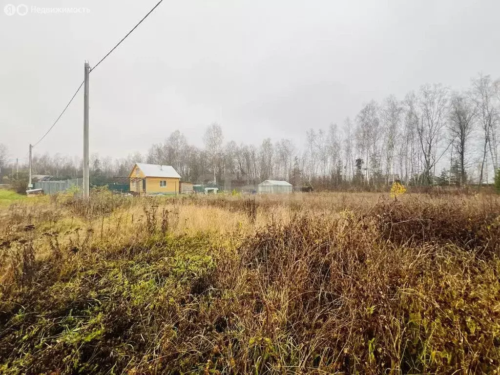 Участок в Владимирская область, Петушинский муниципальный округ, ... - Фото 2