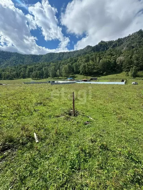 Участок в Чемальский район, село Чемал (12 м) - Фото 0