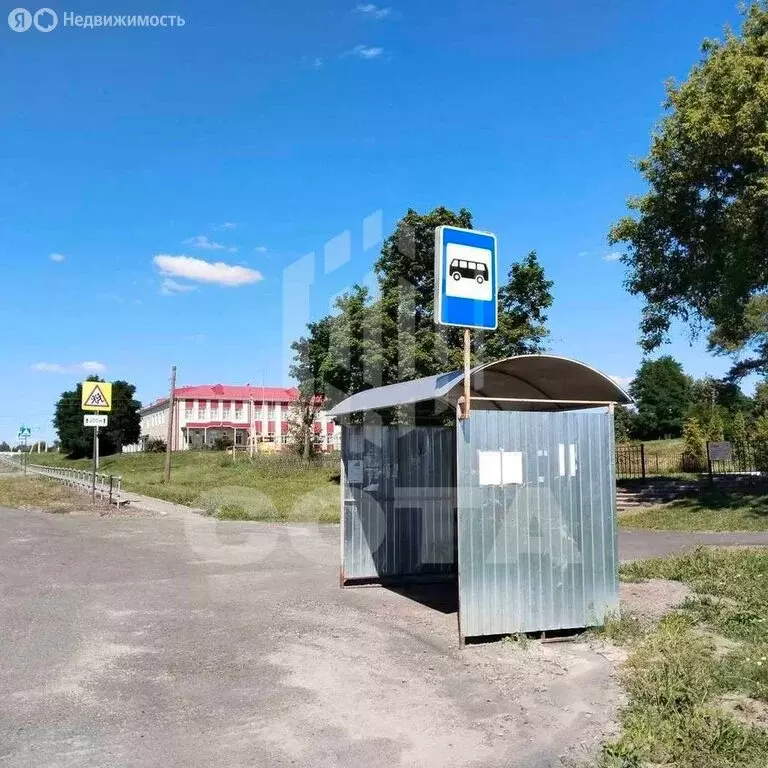 Дом в село Верхнее Турово, Молодёжная улица, 30 (41.1 м) - Фото 2