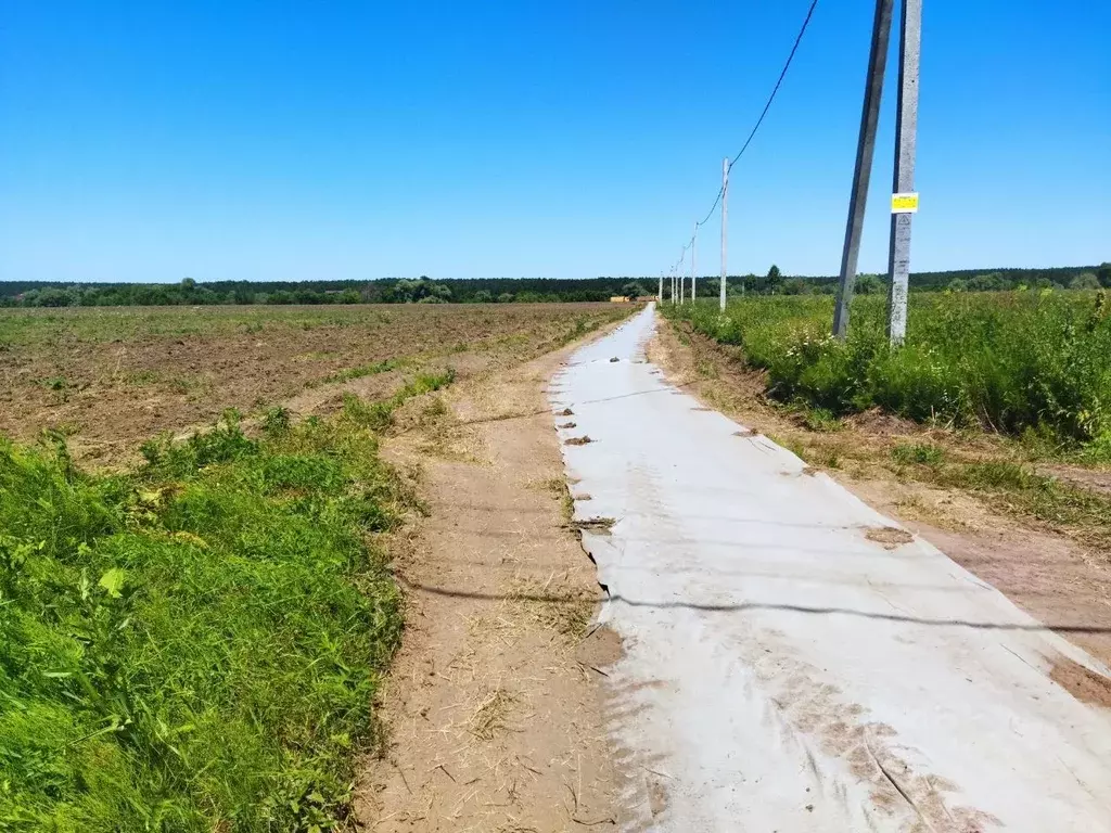 Участок в Тульская область, Ясногорский район, д. Белугино  (20.0 ... - Фото 1