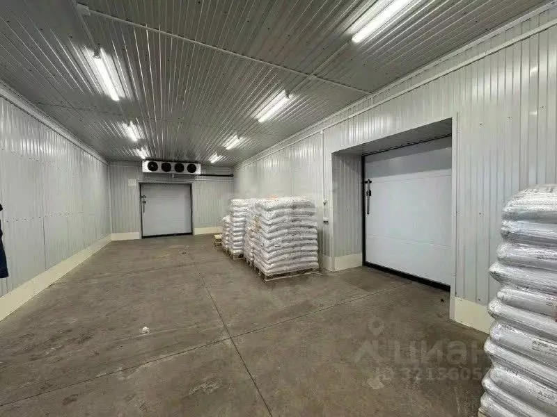 Помещение свободного назначения в Псковская область, Псков ... - Фото 1