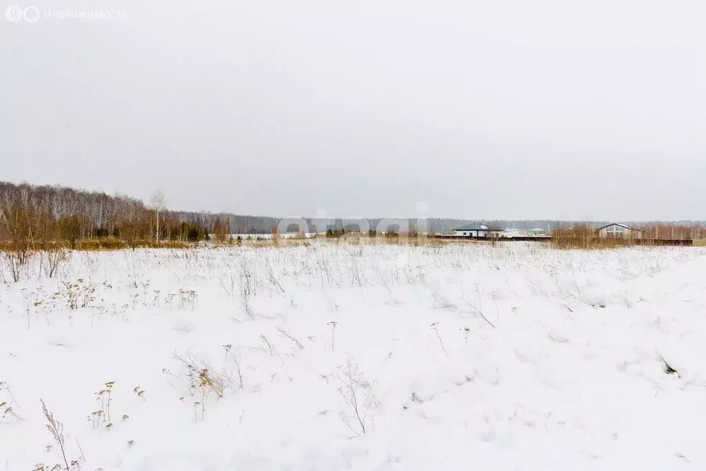 Участок в Тюменский муниципальный округ, Червишевский тракт, 7-й ... - Фото 2