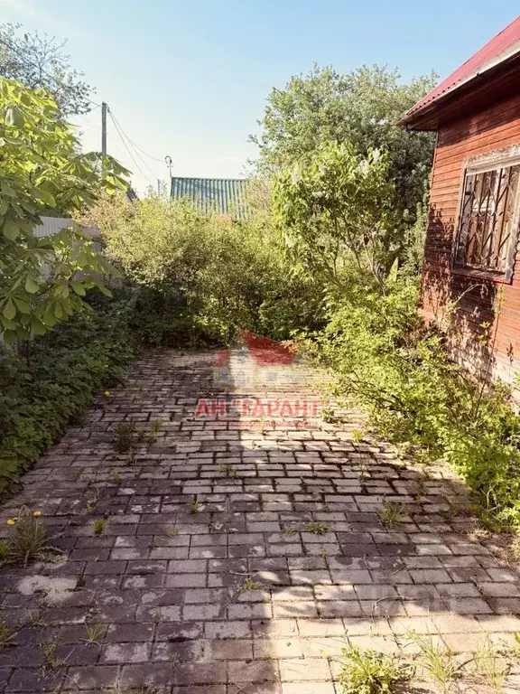Дом в Владимирская область, Александров СНТ Надежда ТСН,  (42 м) - Фото 2