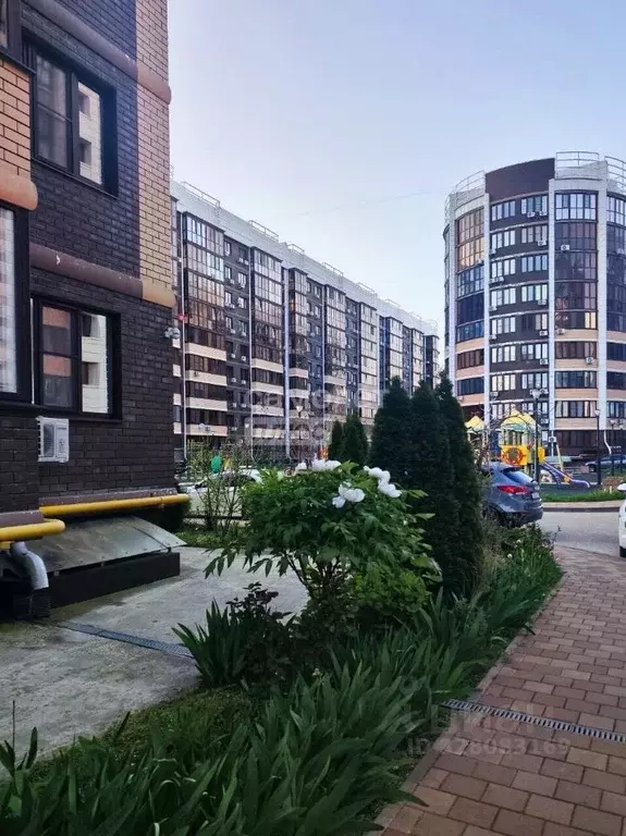 Помещение свободного назначения в Краснодарский край, Горячий Ключ ул. ... - Фото 2