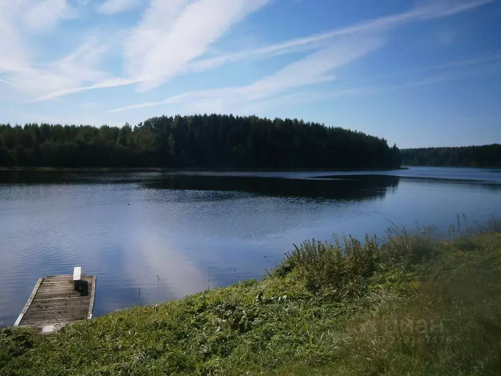 Участок в Новгородская область, Валдайский муниципальный район, ... - Фото 1