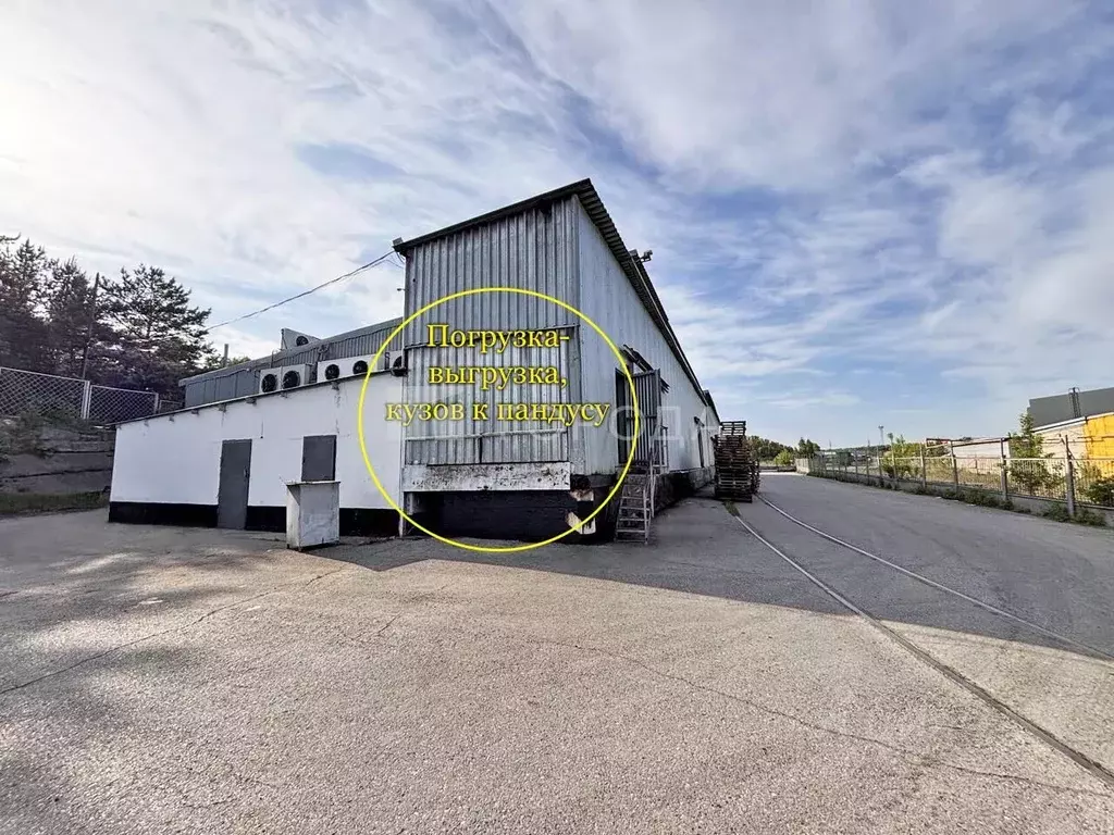 Помещение свободного назначения в Алтайский край, Барнаул просп. ... - Фото 1