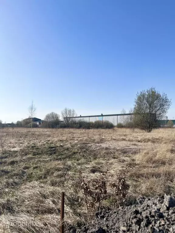 Участок в Калининградская область, Багратионовский муниципальный ... - Фото 2