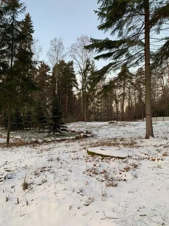 Участок в Санкт-Петербург пос. Репино, ул. Репина (12.0 сот.) - Фото 1