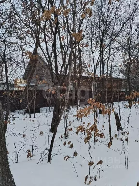 Дом в Еврейская автономная область, Смидовичский район, с. Ключевое ... - Фото 2