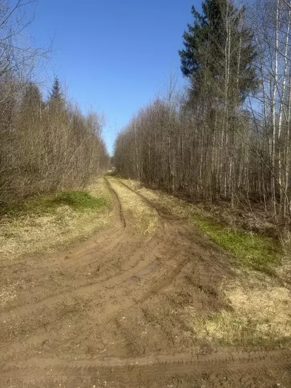 Участок в Тверская область, Кимры ул. Володарского (60.0 сот.) - Фото 2
