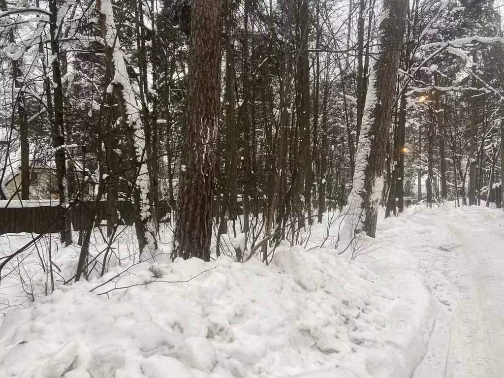 Участок в Московская область, Одинцовский городской округ, д. Барвиха, ... - Фото 1