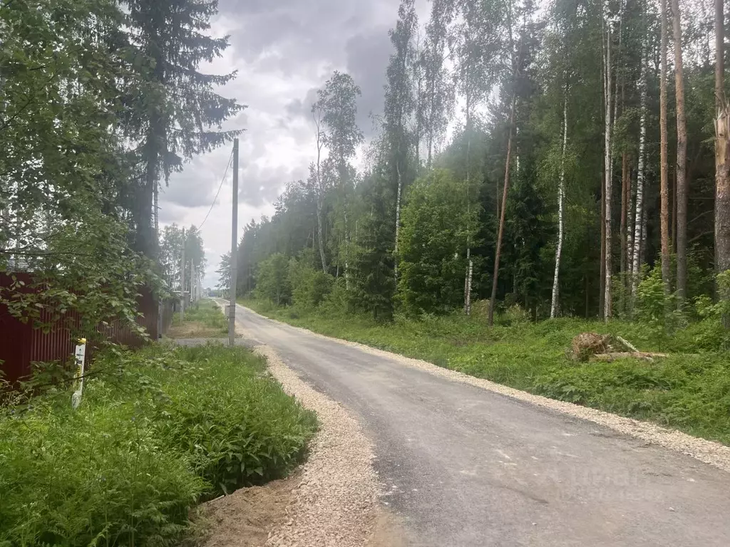 Участок в Московская область, Щелково городской округ, д. Аксиньино  ... - Фото 2