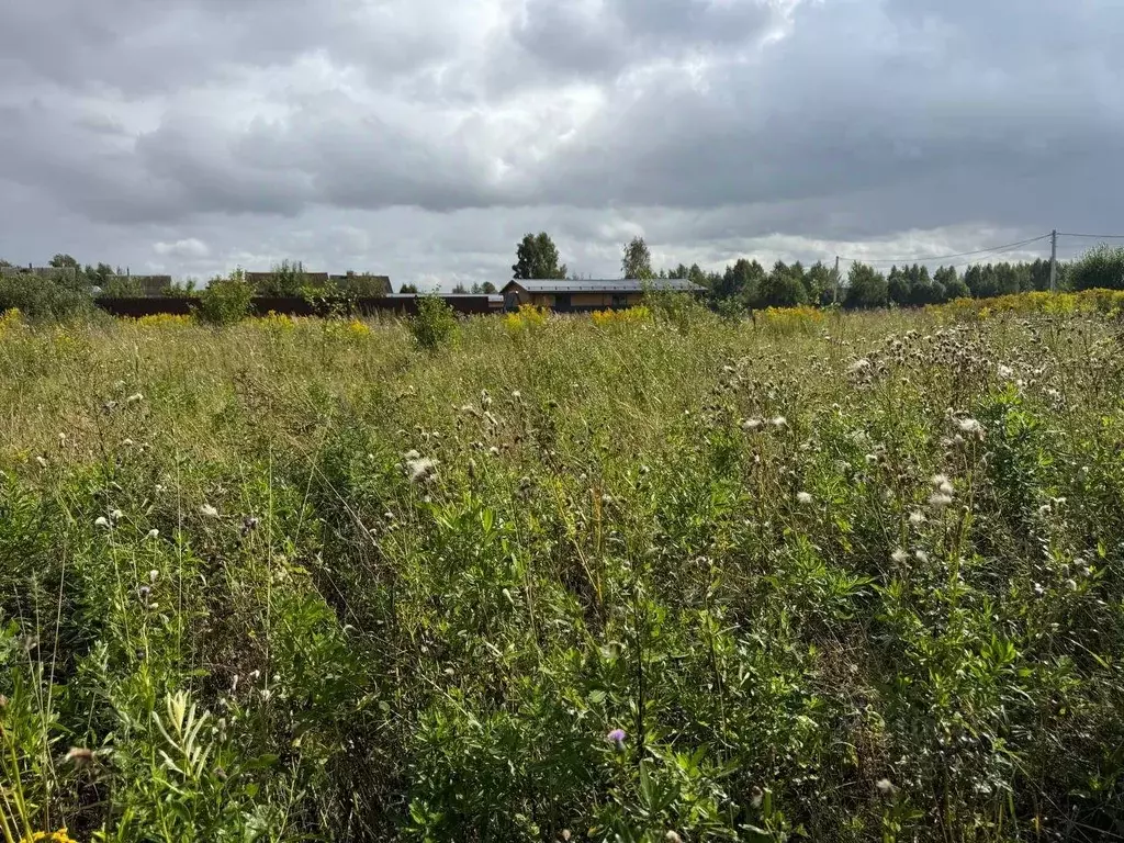 Участок в Московская область, Богородский городской округ, с. Стромынь ... - Фото 0