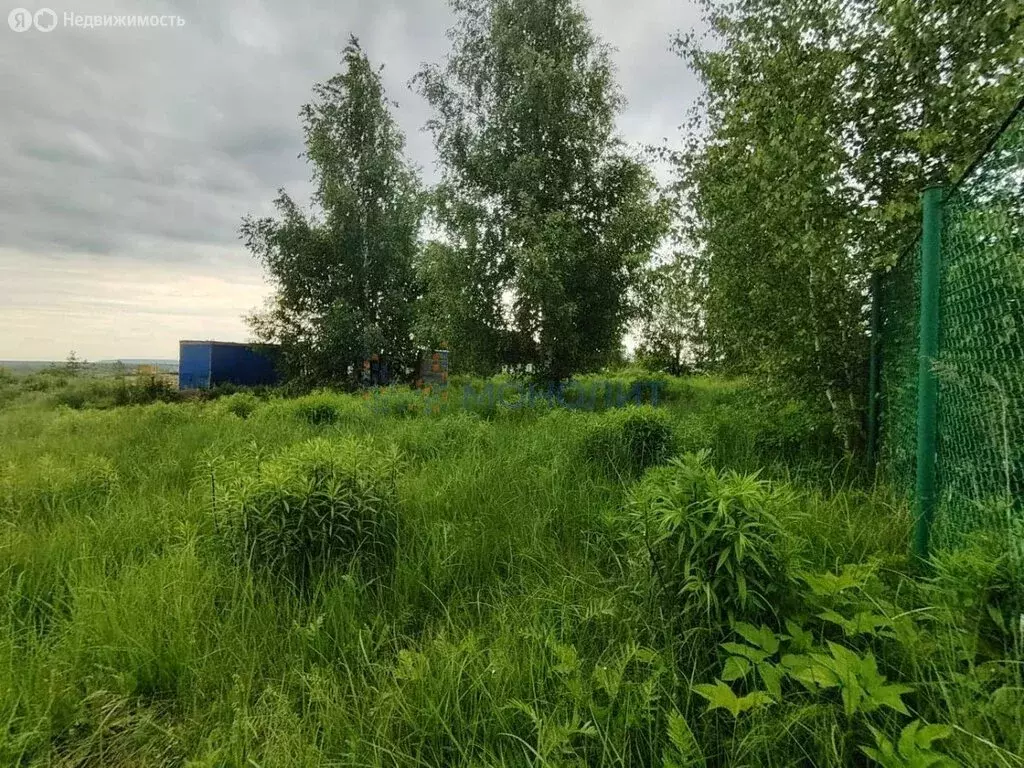 Участок в городской округ Нижний Новгород, село Большая Ельня (9.2 м) - Фото 2