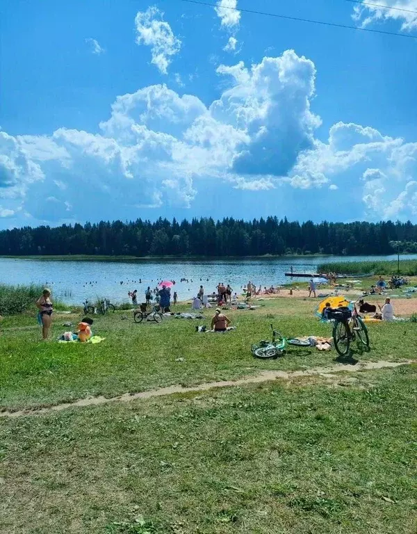 Участок в Ленинградская область, Лужский район, Скребловское с/пос, ... - Фото 1