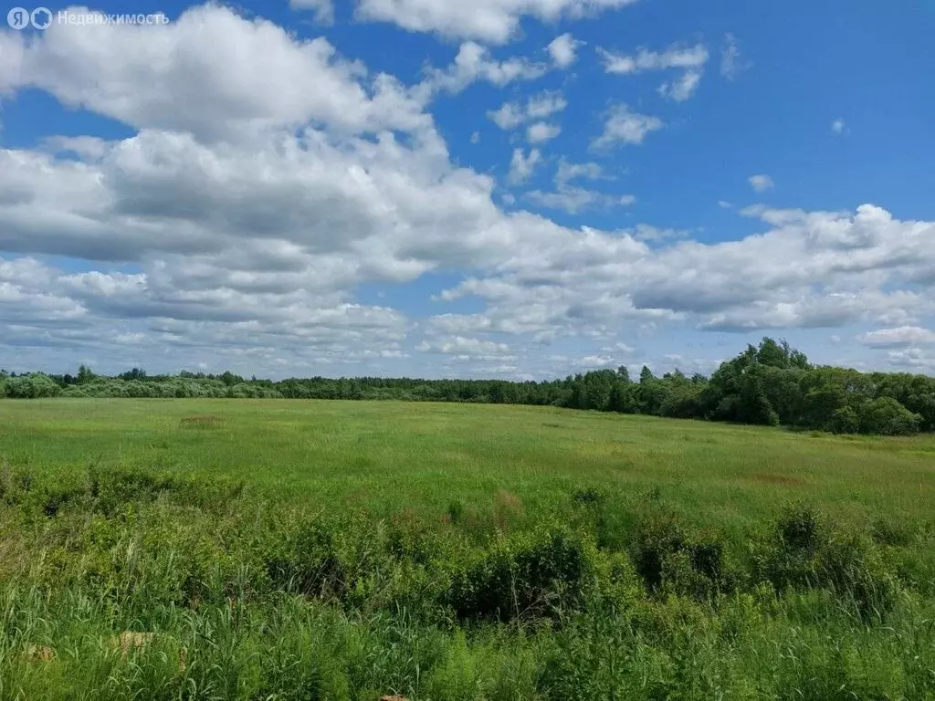 Участок в Хабаровский район, село Мирное (80 м) - Фото 0
