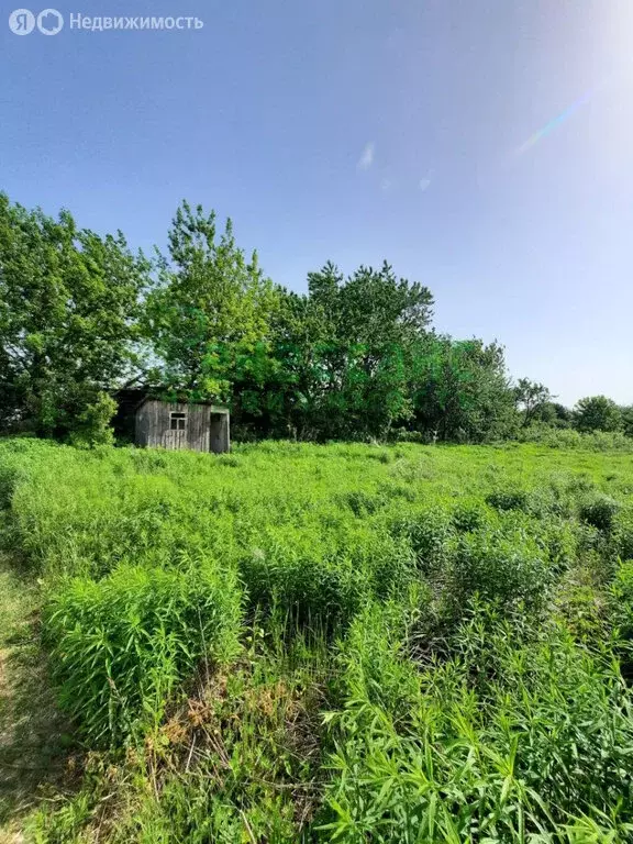 Участок в Брянск, ГСО По 3 Июля (9 м) - Фото 0