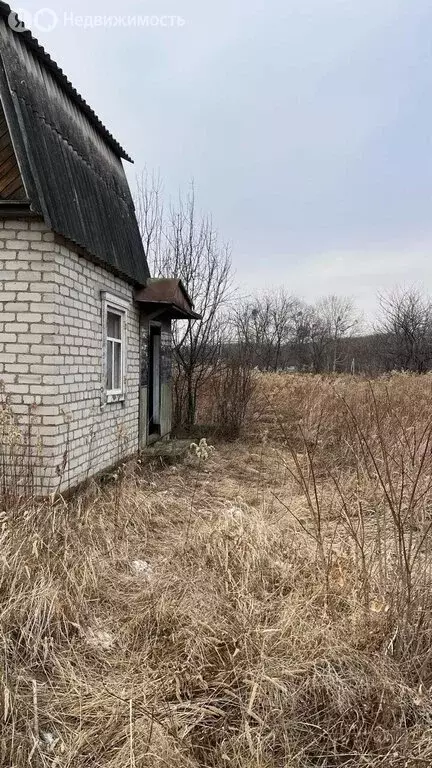 Участок в Приморский край, Михайловский муниципальный округ, село ... - Фото 0