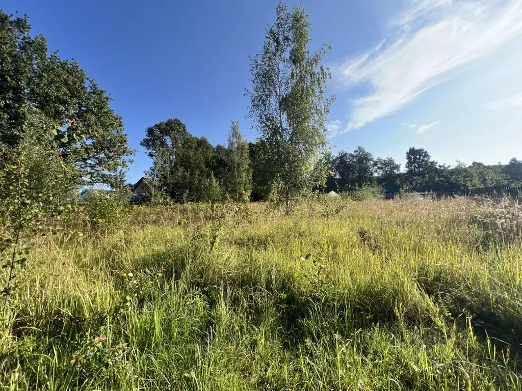 Участок в Калужская область, Жуковский муниципальный округ, Чубарово ... - Фото 1