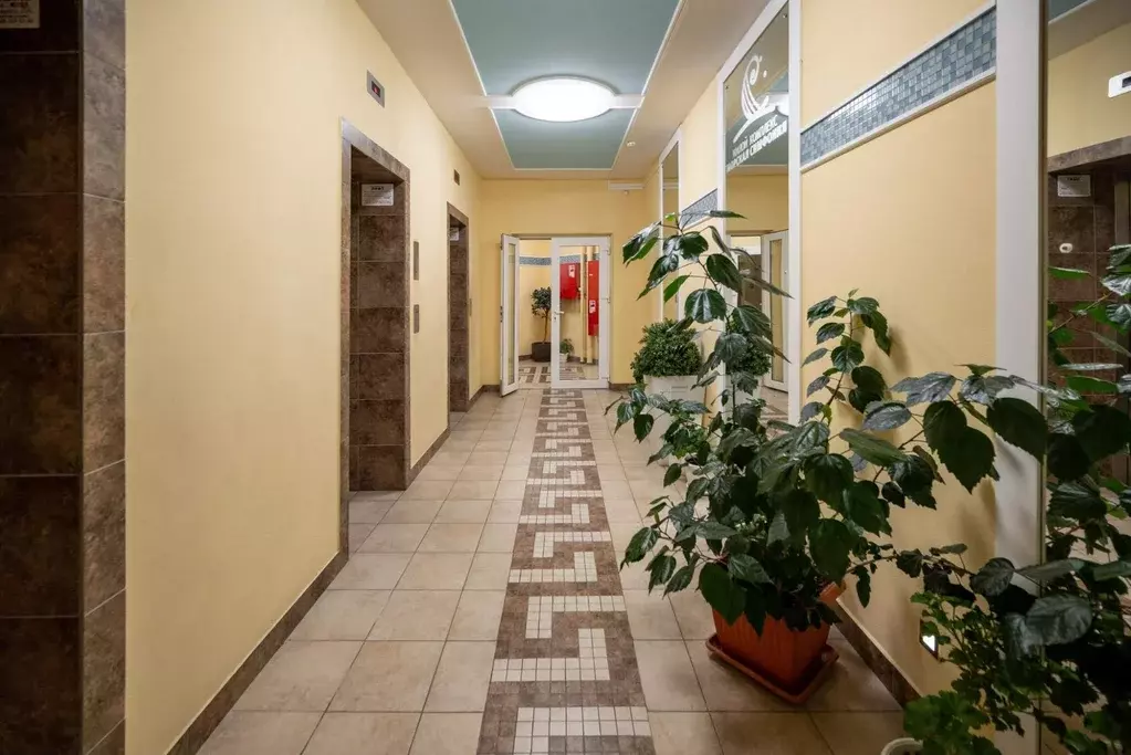 Квартира, 2 комнаты, 56 м - Фото 1