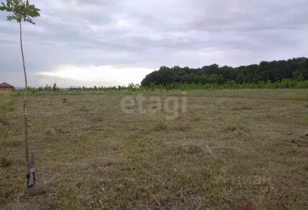 Участок в Белгородская область, Белгород ул. Виктора Лосева (15.0 ... - Фото 0