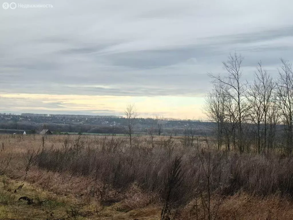 Участок в Горожанка, Центральная улица (1000 м) - Фото 1