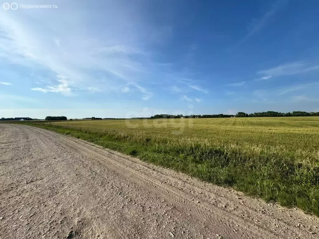 Участок в Колыванский район, СНТ Большая Семья (9.64 м) - Фото 2