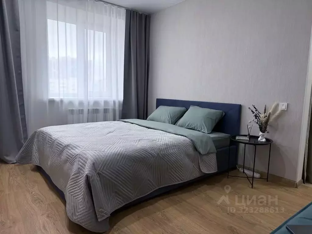 1-к кв. Татарстан, Казань ул. Чехова, 3/7 (28.0 м) - Фото 1