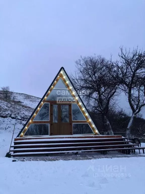 Дом в Воронежская область, с. Семилуки ул. Донская (85 м) - Фото 2