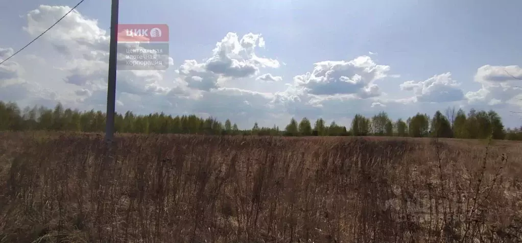 Участок в Рязанская область, Спасский муниципальный округ, с. Сушки ... - Фото 2