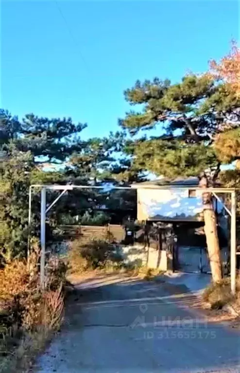 Участок в Крым, Ялта муниципальный округ, Восход пгт ул. Авроры, 4А ... - Фото 1