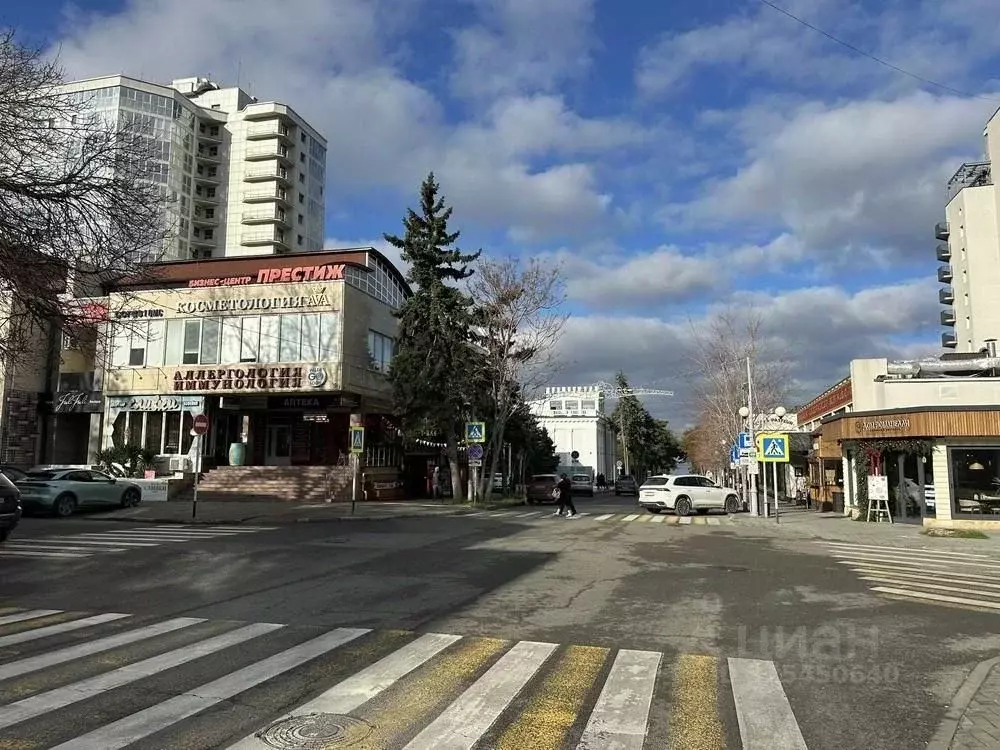 Офис в Краснодарский край, Анапа ул. Пушкина, 17 (87 м) - Фото 2