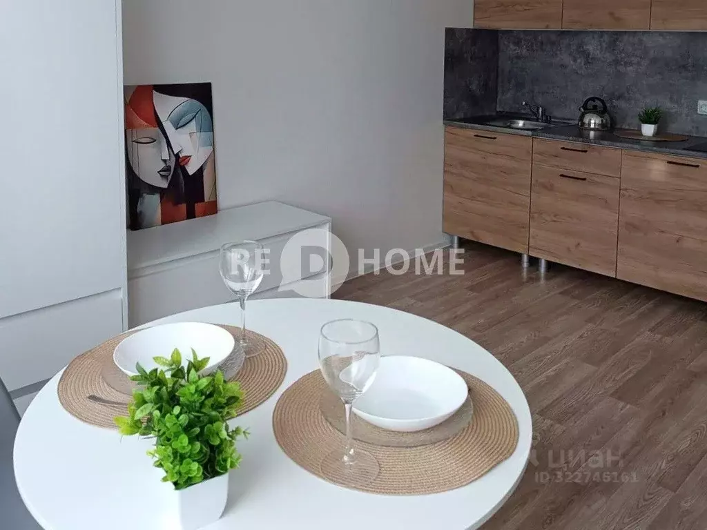 Студия Санкт-Петербург дор. Муринская, 25к2 (20.6 м) - Фото 1