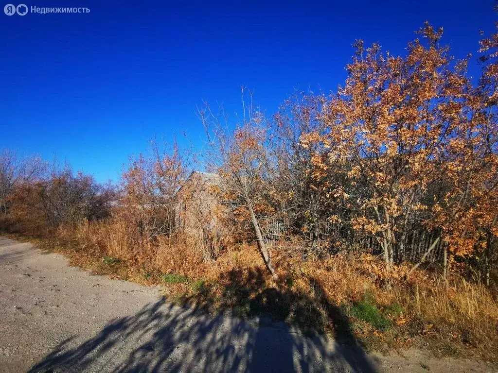 Дом в Базарно-Карабулакский район, Свободинское муниципальное ... - Фото 0