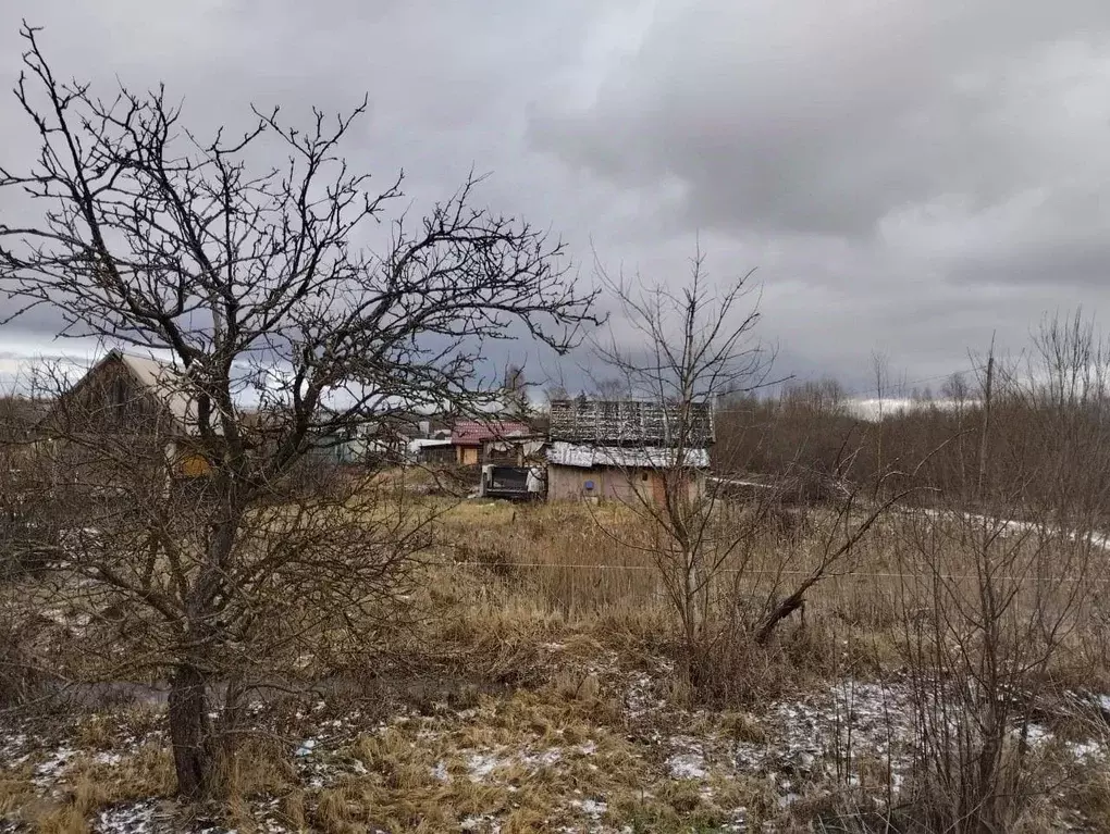 Участок в Новгородская область, Старая Русса Дачное СНТ,  (12.0 сот.) - Фото 0