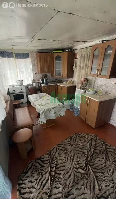 Дом в Чита, садовое товарищество Берёзка, 308 (40 м) - Фото 2