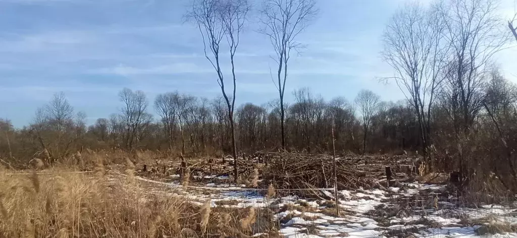 Участок в Московская область, Шатура  (15.01 сот.) - Фото 1