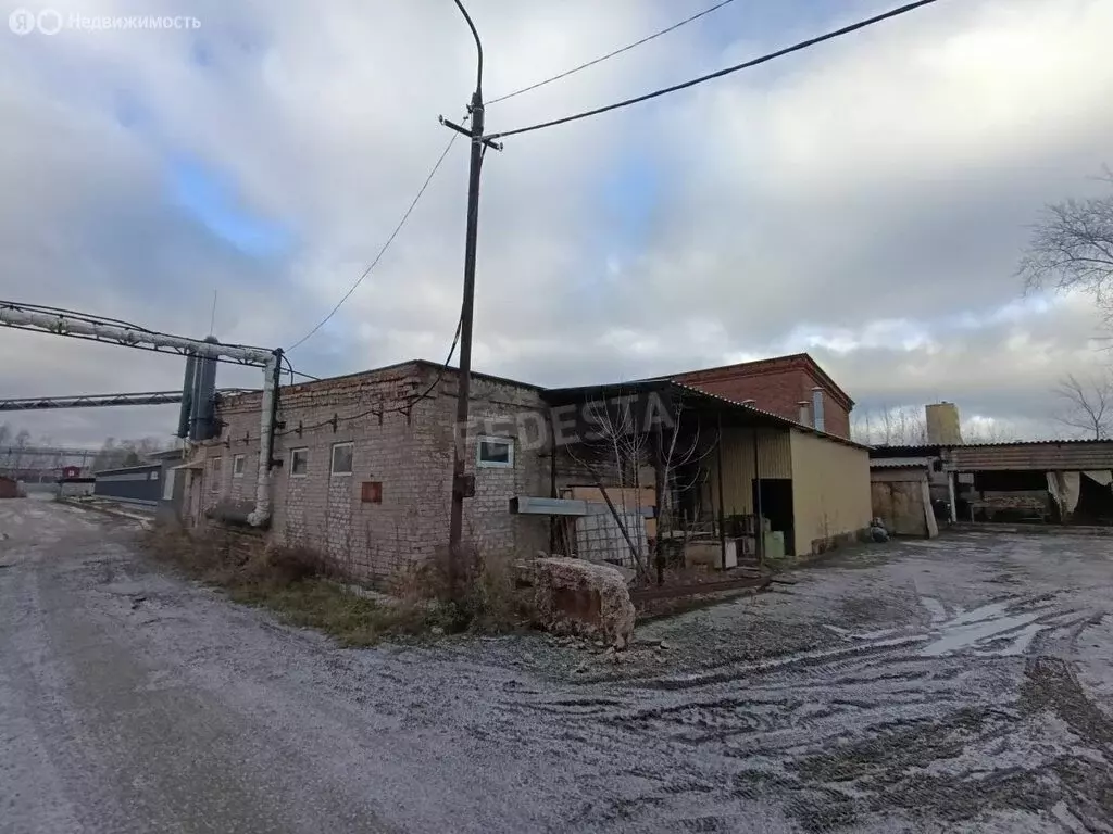 Помещение свободного назначения (427 м) - Фото 2