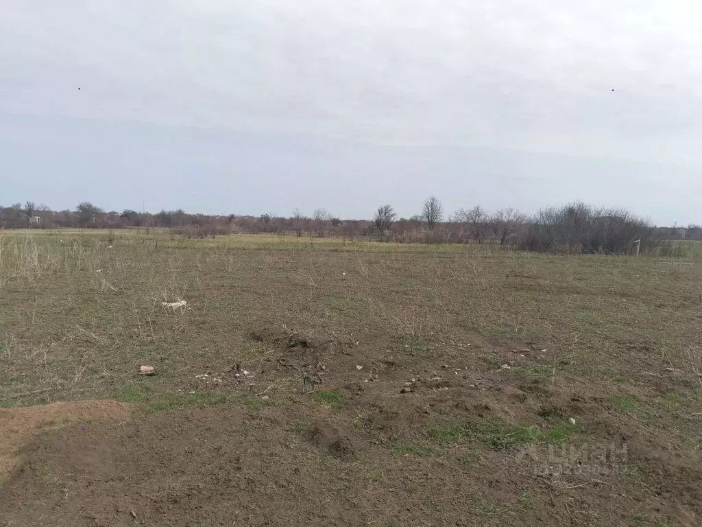 Участок в Краснодарский край, Ейск Виктория СНТ, ул. 11-я (8.0 сот.) - Фото 1