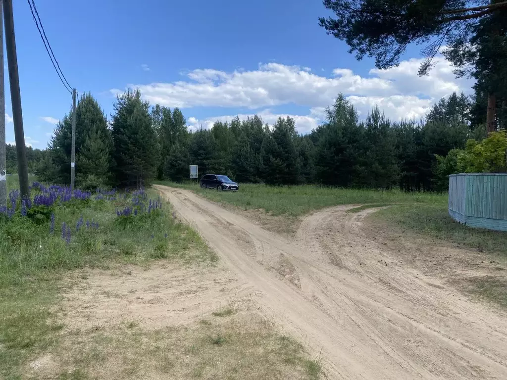 Участок в Вологодская область, Череповецкий район, д. Мышкино  (10.0 ... - Фото 1