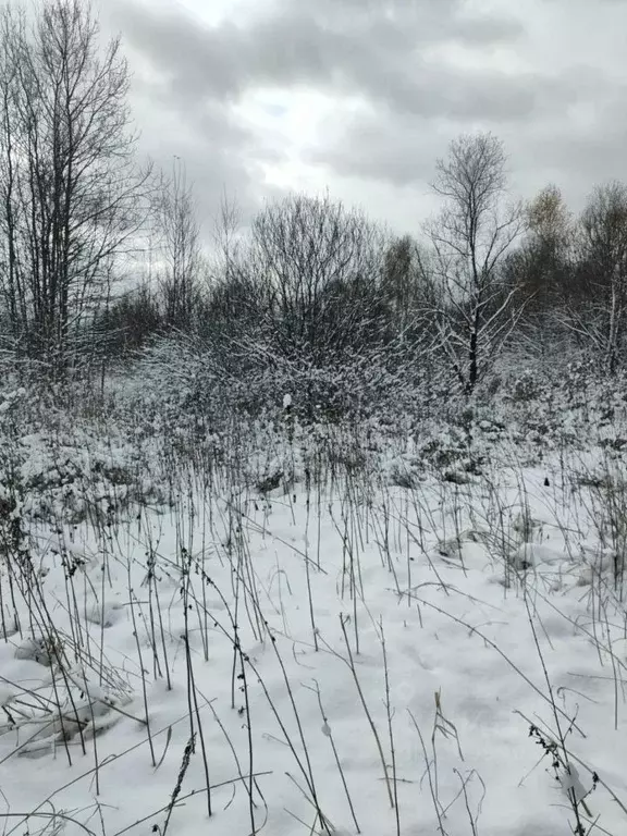 Участок в Московская область, Раменский городской округ, с. ... - Фото 1