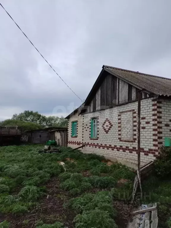 Дом в Ульяновская область, Радищевский район, Ореховское с/пос, с. ... - Фото 1